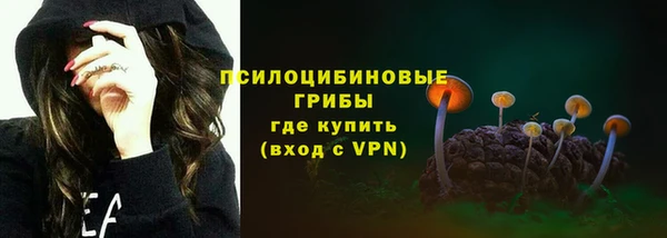 бутират Белокуриха