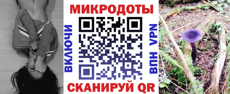 Галлюциногенные грибы Cubensis Туймазы