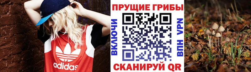 даркнет сайт  Туймазы  Галлюциногенные грибы Magic Shrooms 